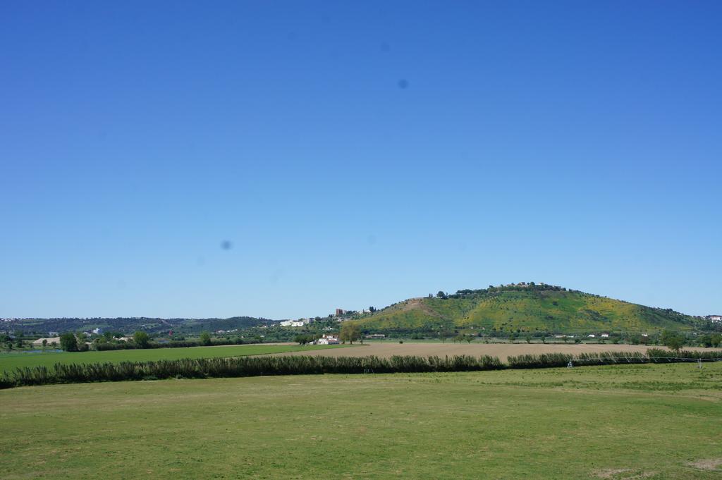 Quinta Das Arribas Pension Abrantes Buitenkant foto