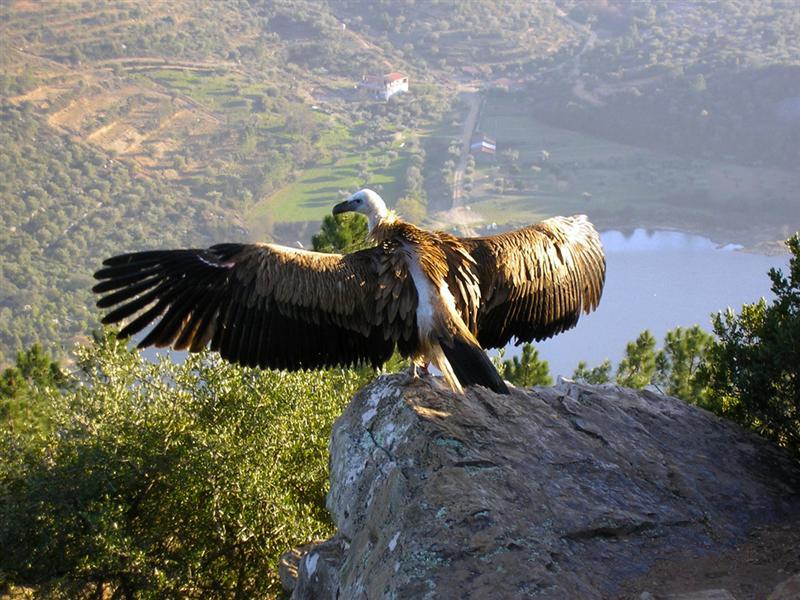 Quinta Das Arribas Abrantes Buitenkant foto